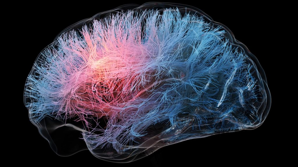 brain-on-black-background.jpg