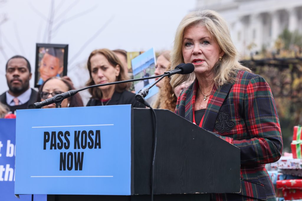 Accountable Tech And Design It For Us Lead A Rally In Support Of The Kids Online Safety Act