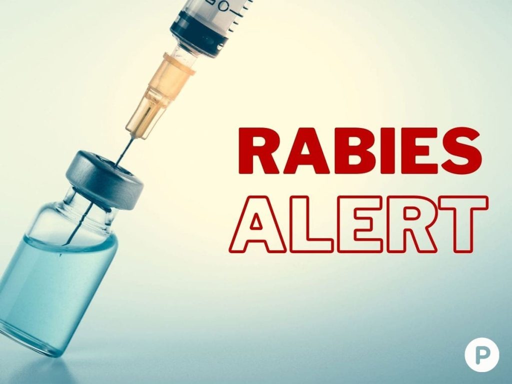 patch-graphics-rabies-alert-2___11103916355.jpg